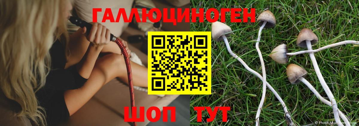 Галлюциногенные грибы Magic Shrooms Гай